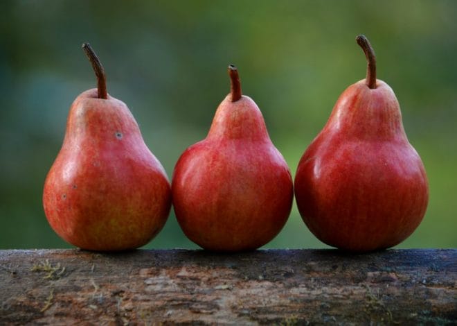 6 поєднань продуктів та спецій, що смакують як золота осінь
