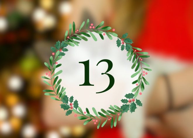 7 причин взяти з притулку тваринку під час новорічних свят