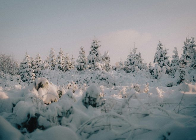 Коли зимове сонцестояння у 2025 році