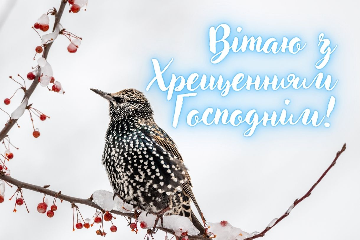 Привітання, вірші та листівки на Водохреща