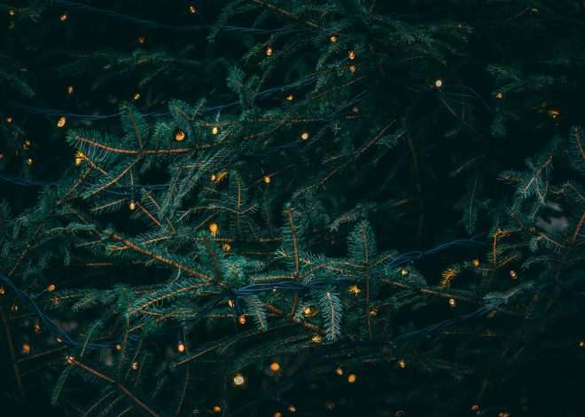 14 способів подарувати новорічній ялинці друге життя