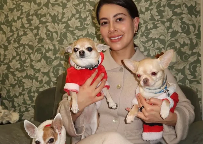 Раміну вкусив за губу домашній улюбленець — тепер як після б’юті-процедури