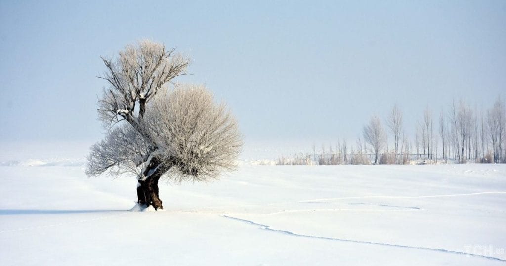Гороскоп на 15 лютого для всіх знаків зодіаку: день, коли агресивна поведінка під забороною