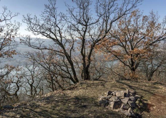 Гороскоп на 27 лютого для всіх знаків зодіаку: день, коли не можна звертати з обраного шляху