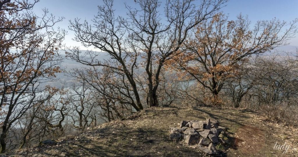 Гороскоп на 27 лютого для всіх знаків зодіаку: день, коли не можна звертати з обраного шляху