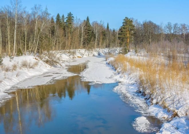 Гороскоп на 24 лютого для всіх знаків зодіаку: день, коли можливості потрібно використовувати раціонально