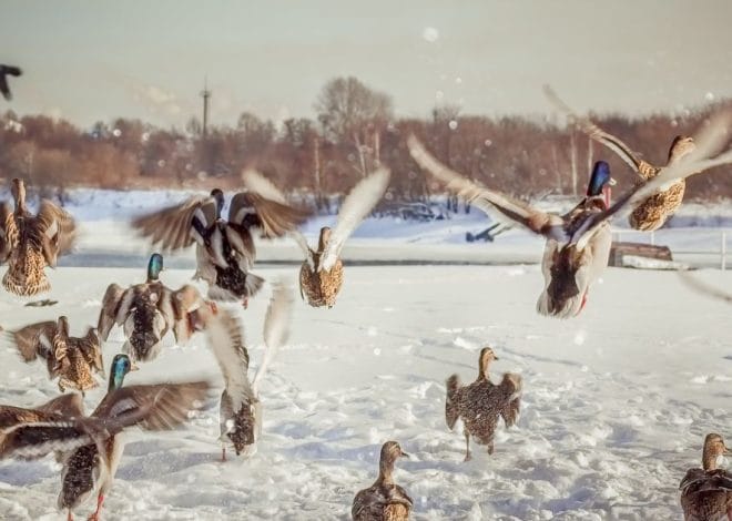 Гороскоп на 10 лютого для всіх знаків зодіаку: день, коли нам доведеться зіткнутися з ошуканством
