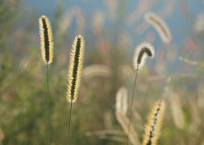 Гороскоп на 20 березня для всіх знаків зодіаку: день, коли ми відчуємо прилив сил