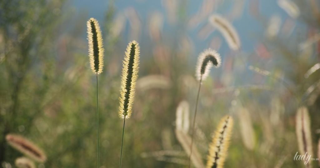 Гороскоп на 20 березня для всіх знаків зодіаку: день, коли ми відчуємо прилив сил