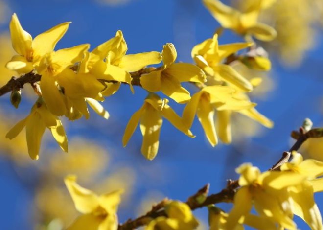 Гороскоп на 21 березня для всіх знаків зодіаку: день, коли агресію може виявити хто завгодно
