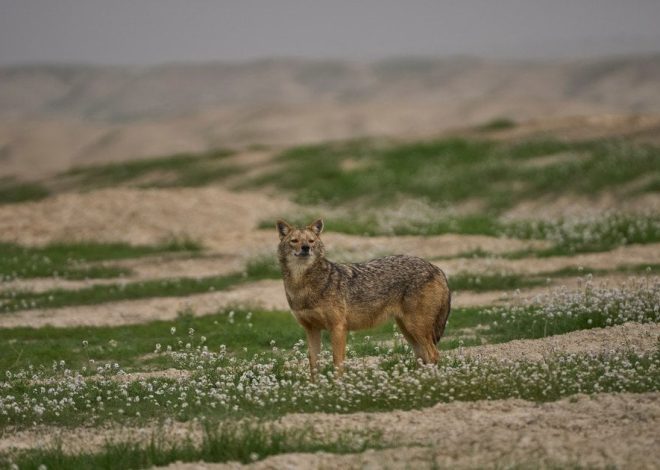 Астрологічний прогноз на 3 березня