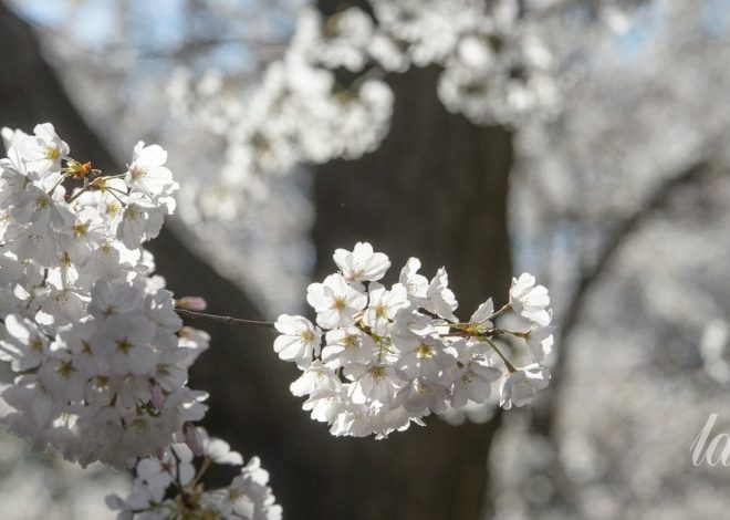 Можливості та щасливі шанси у квітні 2026 року для всіх знаків зодіаку