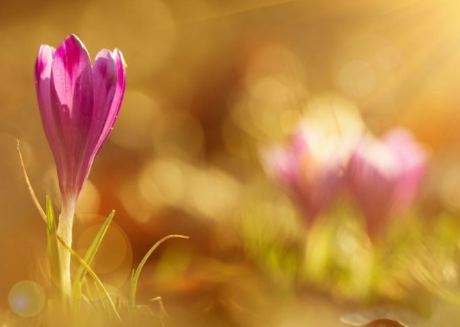 Гороскоп на 19 березня для всіх знаків зодіаку: день, коли ми перейдемо від негативу до позитиву
