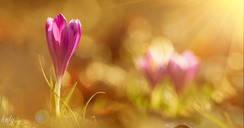 Гороскоп на 19 березня для всіх знаків зодіаку: день, коли ми перейдемо від негативу до позитиву