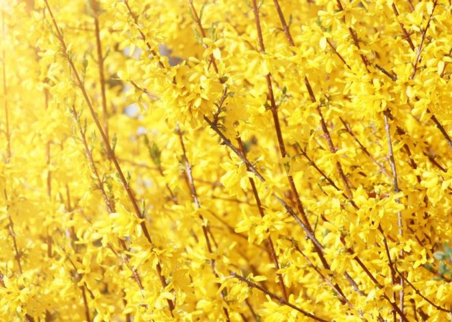 Гороскоп на 24 березня для всіх знаків зодіаку: день, коли буде час для роботи над помилками