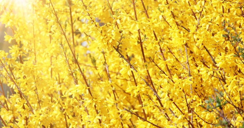 Гороскоп на 24 березня для всіх знаків зодіаку: день, коли буде час для роботи над помилками
