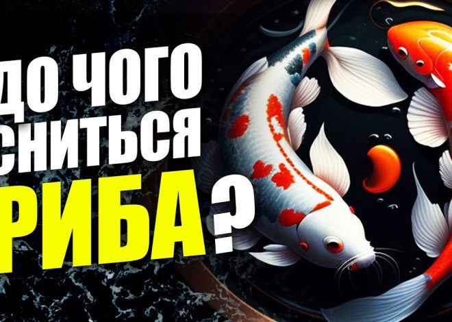 До Чого Сниться Риба: биография, творчество и личная жизнь