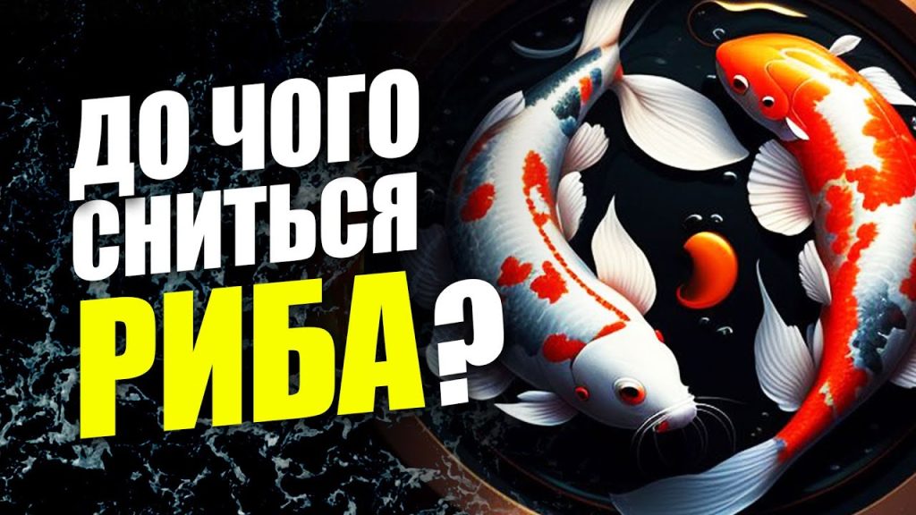 До Чого Сниться Риба: биография, творчество и личная жизнь