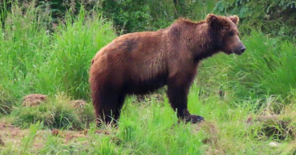 Астрологічний прогноз на 12 квітня