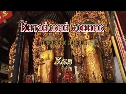 К Чему Снится Кал Женщине: Толкования и Значения в Сонниках