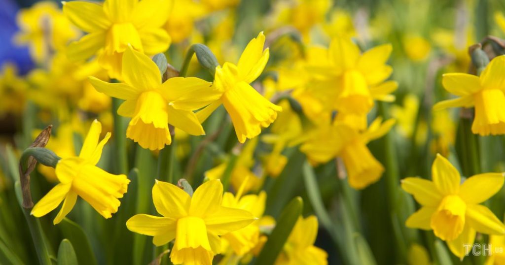 Гороскоп на 12 квітня для всіх знаків зодіаку: день, коли ми будемо більш сердечними і гуманнішими, ніж зазвичай