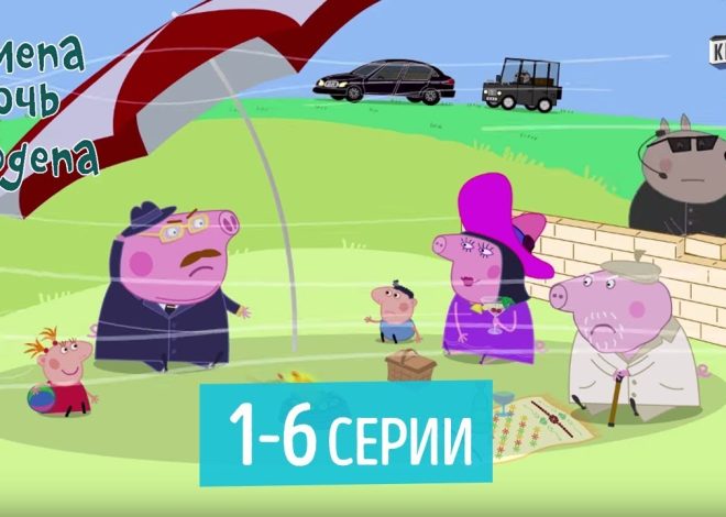 Шмепа Дочь Нардепа: Биография, Личная Жизнь и Карьера