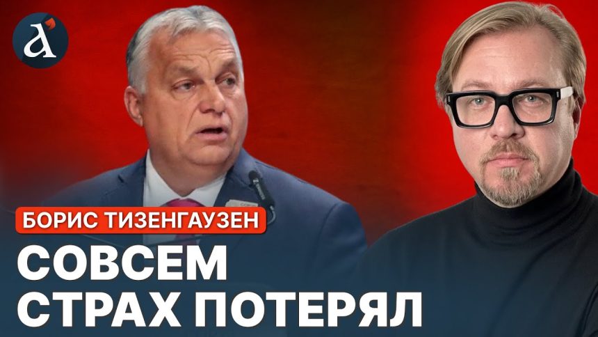 Борис Тизенгаузен Биография Личная Жизнь: Карьера и Семья
