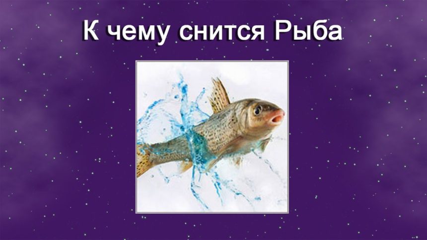 К Чему Снится Рыба: значение сна и толкования