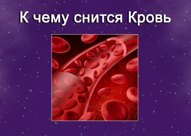 К Чему Снится Кровь: Значения и Толкования Сновидений