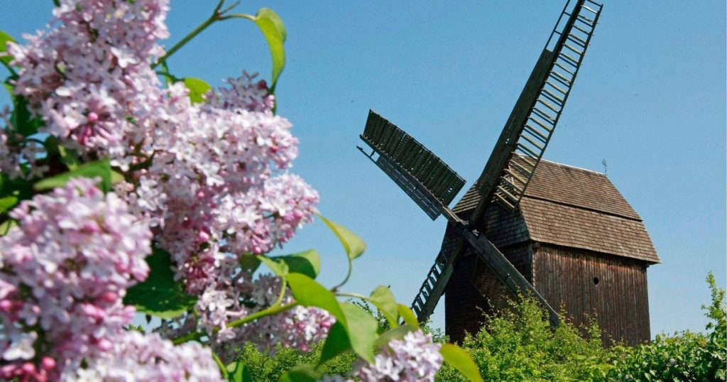 Гороскоп на 24 травня для всіх знаків зодіаку: день, коли не можна ділитися з ким-небудь своїми секретами
