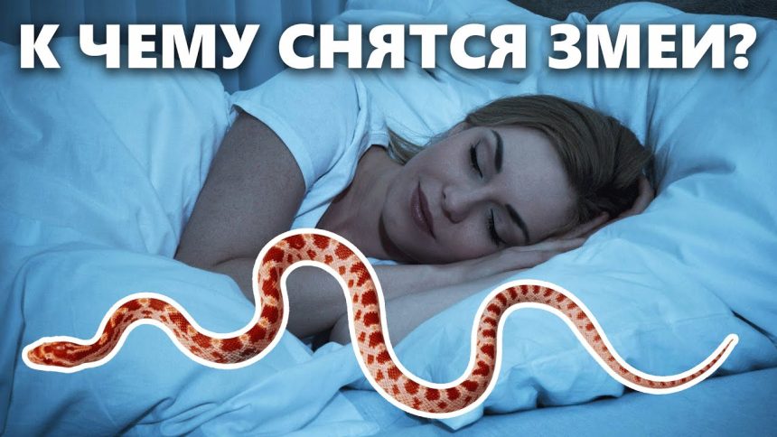 К Чему Снится Змея: Толкования и Символика Во Снах