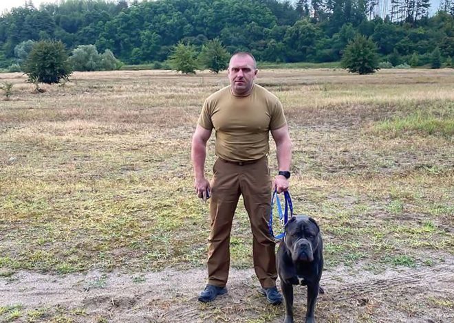Василь Малюк Зріст Вага: биография, личная жизнь и карьера