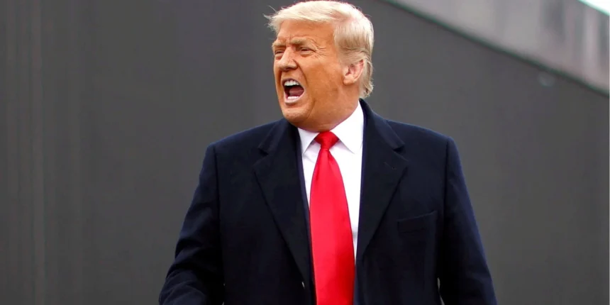 Скільки Років Трампу: Подробная информация о возрасте и жизни Дональда Трампа