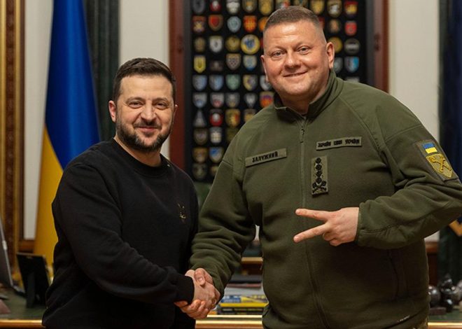 Валерий Залужный Родители Национальность: Биография, Личная жизнь и Карьера