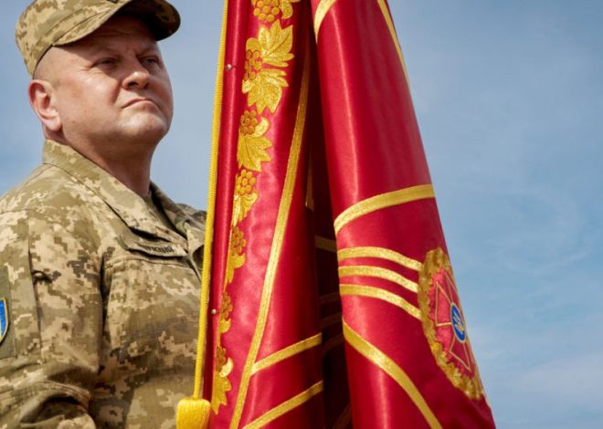Залужний Батьки Національність: Биография, Личная жизнь и Карьера