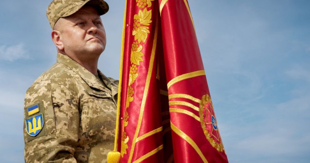 Залужний Батьки Національність: Биография, Личная жизнь и Карьера