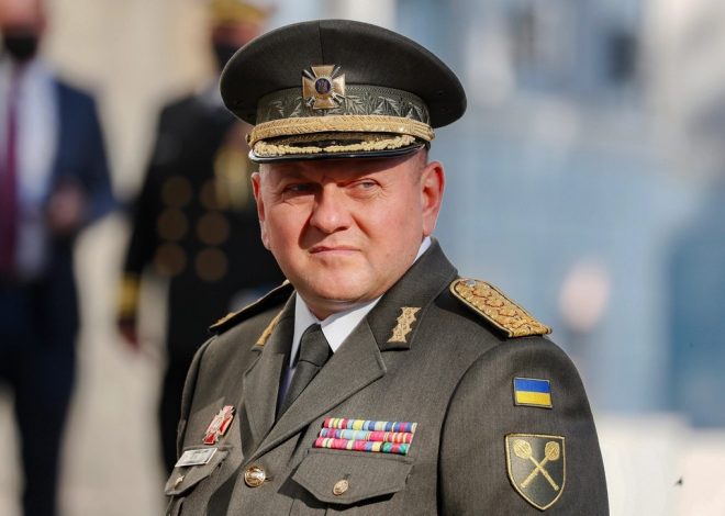 Залужний Біографія: життєвий шлях, кар’єра та особисте життя