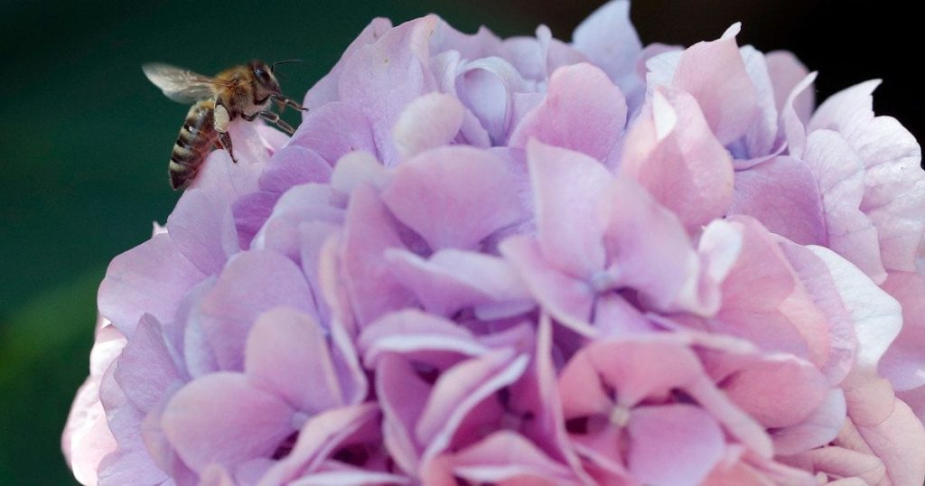 Гороскоп на 21 червня для всіх знаків зодіаку: день, коли слід робити добро