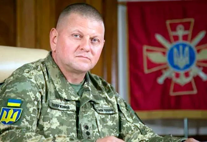 Залужний Зріст Вага: подробный обзор биографии, личной жизни и карьеры