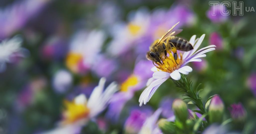 Гороскоп на 19 червня для всіх знаків зодіаку: день, коли слід добре обмірковувати кожен свій крок