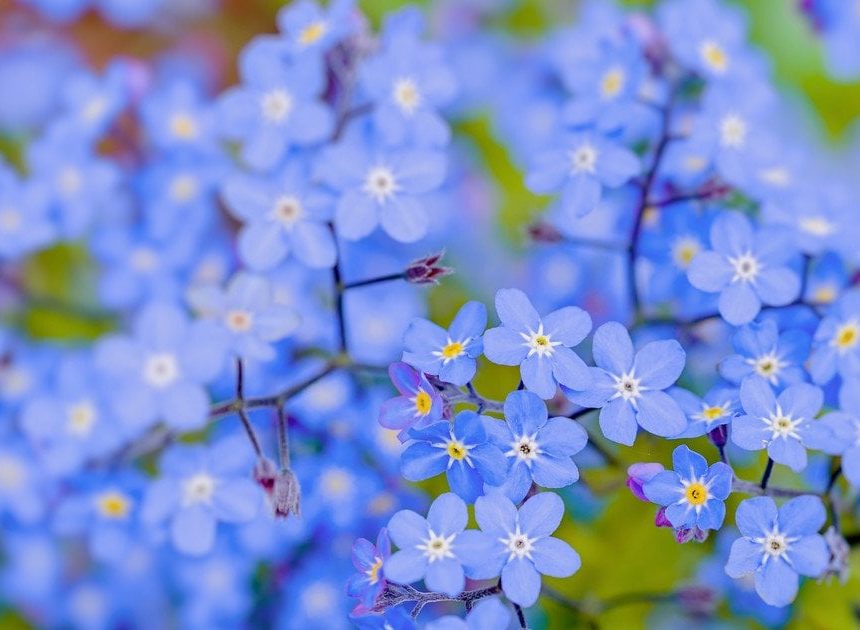 Гороскоп на 29 червня для всіх знаків зодіаку: день, коли ми будемо під владою інстинктів