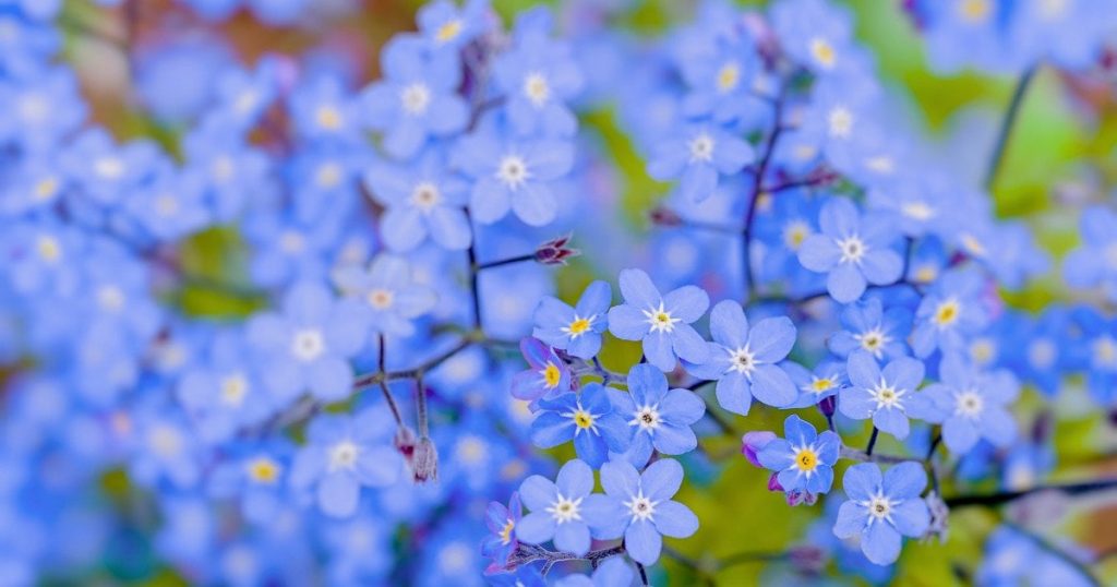 Гороскоп на 29 червня для всіх знаків зодіаку: день, коли ми будемо під владою інстинктів