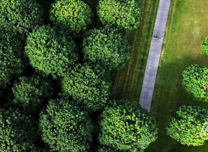 Що нам пророкують зірки: гороскоп на серпень 2026 року