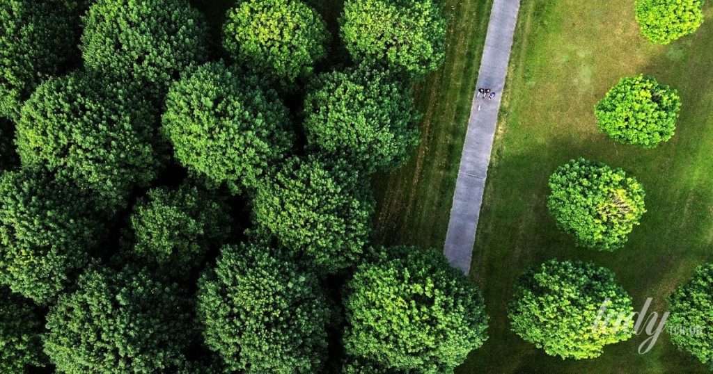 Що нам пророкують зірки: гороскоп на серпень 2026 року