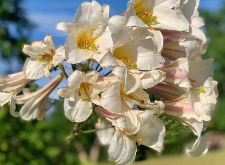 Гороскоп на 10 липня для всіх знаків зодіаку: день, коли варто звернути увагу на знаки вищих сил