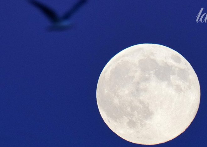 Повня у Водолії 29 липня 2026 року: що на нас чекає в цей час