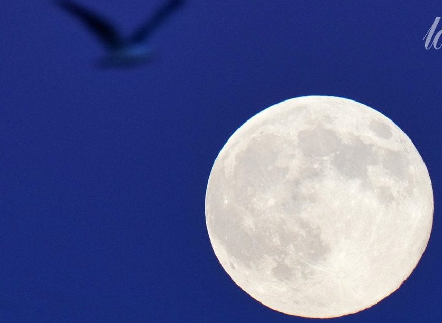 Повня у Водолії 29 липня 2026 року: що на нас чекає в цей час