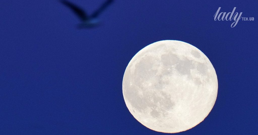 Повня у Водолії 29 липня 2026 року: що на нас чекає в цей час